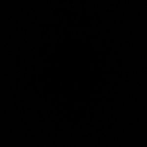 Meet your Posher, Dylan